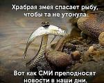     
: FB_IMG_1585079959022.jpg
: 32
:	56.0 
ID:	13320966