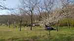     
: IMG-d0ae36249a62a7909bb4d57f85cc17fd-V.jpg
: 18
:	257.6 
ID:	13321382