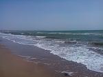     
: IMG_20200326_123435.jpg
: 19
:	95.9 
ID:	13321500