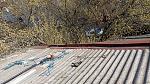     
: IMG_20200326_145733.jpg
: 20
:	301.0 
ID:	13321722