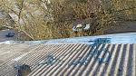     
: IMG_20200326_165254.jpg
: 23
:	243.5 
ID:	13321731
