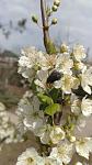     
: IMG_20200327_123529.jpg
: 13
:	62.4 
ID:	13321913