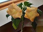     
: 20200328_102320.jpg
: 11
:	92.6 
ID:	13322250