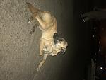     
: 8D512004-D018-4F6C-B4A8-3E6F8CA838B4.jpg
: 35
:	75.8 
ID:	13322719