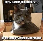     
: FB_IMG_1585734810808.jpg
: 16
:	32.6 
ID:	13324068