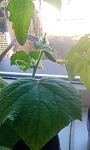     
: IMG_20200401_110245.jpg
: 7
:	59.2 
ID:	13325206