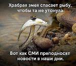     
: .jpg
: 37
:	103.4 
ID:	13325376