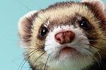     
: IMG_20200404_192837.jpg
: 14
:	96.3 
ID:	13325754
