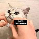     
: FB_IMG_1586064470207.jpg
: 17
:	27.0 
ID:	13325972