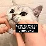     
: FB_IMG_1586064475602.jpg
: 13
:	30.6 
ID:	13325973