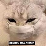     
: FB_IMG_1586064484884.jpg
: 13
:	31.9 
ID:	13325975