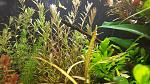     
: 20200402_225618.jpg
: 46
:	179.9 
ID:	13326620