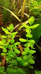     
: 20200402_225513.jpg
: 49
:	87.7 
ID:	13326621