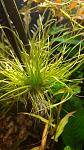     
: 20200402_231216.jpg
: 45
:	91.3 
ID:	13326622