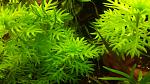     
: 20200402_225934.jpg
: 47
:	128.0 
ID:	13326623