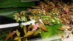     
: 20200329_194459.jpg
: 46
:	139.8 
ID:	13326624