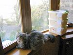     
: !IMG_9859.jpg
: 28
:	216.6 
ID:	13326800