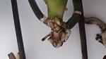     
: 20200406_150542.jpg
: 23
:	50.9 
ID:	13326899