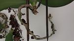     
: 20200406_150611.jpg
: 25
:	78.5 
ID:	13326902