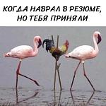     
: FB_IMG_1586064580247.jpg
: 19
:	36.5 
ID:	13327068