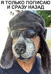     
: IMG-017b6bcd0f9704c95caa2d9c12185d45-V.jpg
: 29
:	59.9 
ID:	13327186