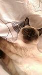     
: IMAG6847.jpg
: 17
:	50.9 
ID:	13327292
