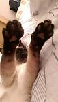     
: IMAG6849.jpg
: 19
:	47.4 
ID:	13327302