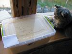     
: !IMG_9910.jpg
: 42
:	192.8 
ID:	13328193