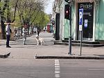     
: 20200409_125002.jpg
: 25
:	184.1 
ID:	13328210