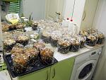     
: !IMG_9941.jpg
: 41
:	296.4 
ID:	13328214