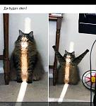     
: IMG_20200411_101526.jpg
: 19
:	76.3 
ID:	13328831