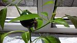     
: 20200411_131740.jpg
: 19
:	103.8 
ID:	13328911