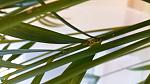     
: 20200411_195411.jpg
: 16
:	72.9 
ID:	13329228