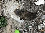    
: 09484E51-F345-4BE7-96E8-8090B2F26FDB.jpg
: 31
:	219.3 
ID:	13329250
