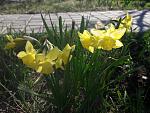     
: 20200411_091642.jpg
: 10
:	140.6 
ID:	13329771