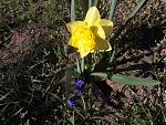     
: 20200411_091151.jpg
: 7
:	208.9 
ID:	13329772