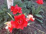     
: 20200411_144401.jpg
: 9
:	149.1 
ID:	13329775