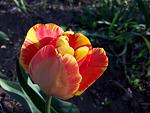     
: 20200410_183930.jpg
: 7
:	90.7 
ID:	13329777