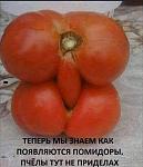     
: IMG-c2c167dcdfbe55c04c6eeda83df9caaa-V.jpg
: 10
:	156.6 
ID:	13330290
