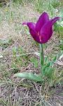     
: IMG_20200414_135011.jpg
: 58
:	166.0 
ID:	13330664