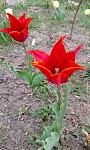     
: IMG_20200414_135038.jpg
: 50
:	153.5 
ID:	13330665