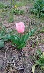     
: IMG_20200414_135152.jpg
: 59
:	165.8 
ID:	13330667