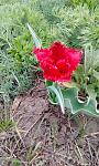     
: IMG_20200414_135339.jpg
: 51
:	145.6 
ID:	13330668