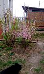     
: IMG_20200414_135232.jpg
: 59
:	139.1 
ID:	13330669