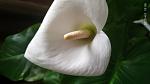     
: IMG_20200401_100631.jpg
: 15
:	46.8 
ID:	13330808