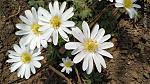    
: IMG_20200327_124205.jpg
: 44
:	143.2 
ID:	13330814
