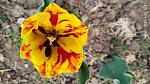     
: IMG_20200410_135153.jpg
: 55
:	111.0 
ID:	13330815