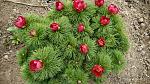     
: IMG_20200410_135130.jpg
: 41
:	296.1 
ID:	13330816