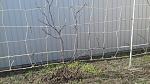    
: 20200314_.jpg
: 5
:	157.1 
ID:	13331472
