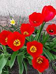     
: 20200417_100816.jpg
: 14
:	147.9 
ID:	13331632